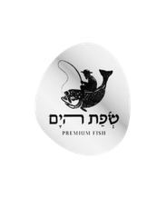 עיצוב ללא שם (2)